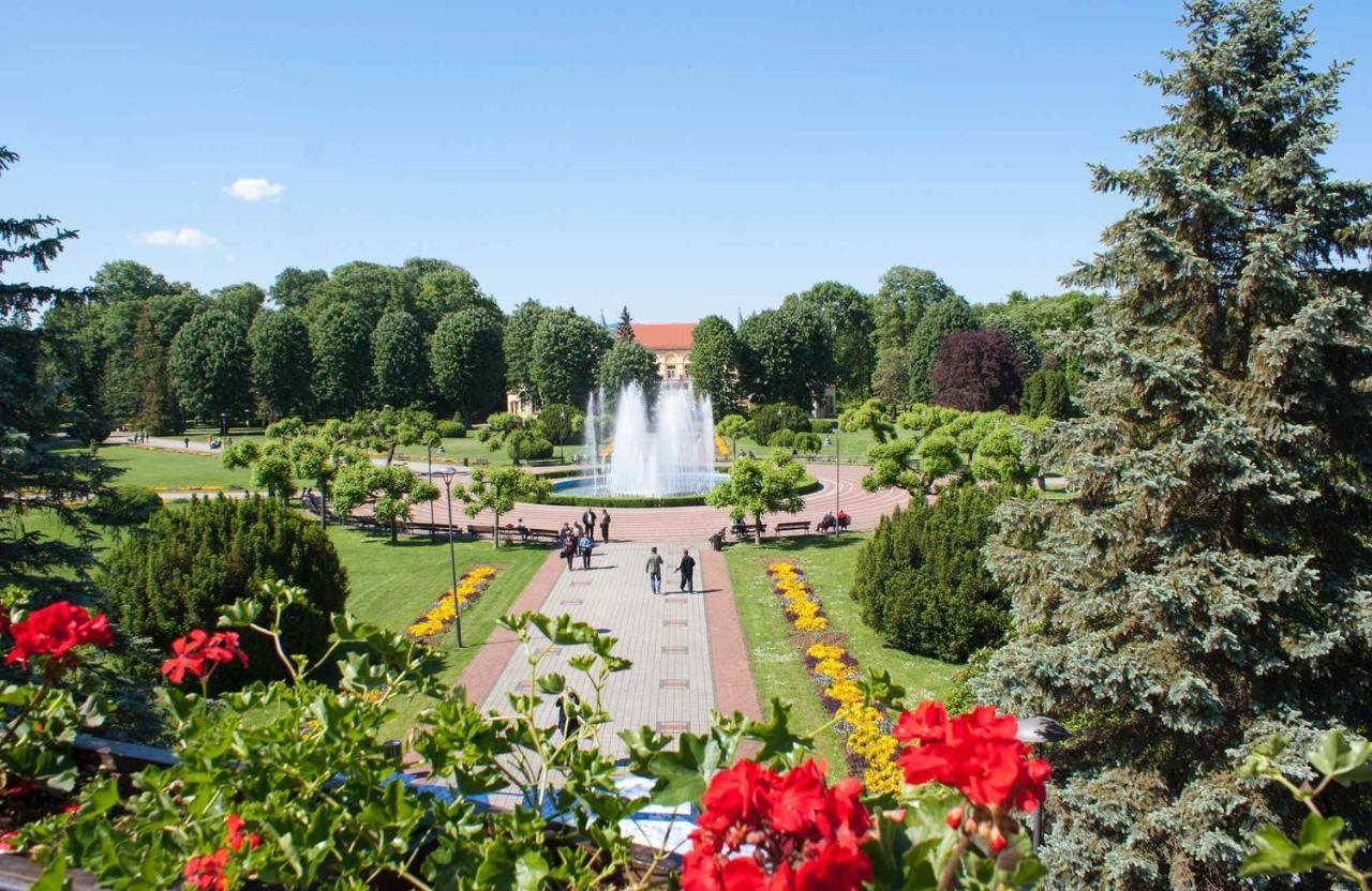 Apartman Lavanda Banja Koviljaca Luaran gambar
