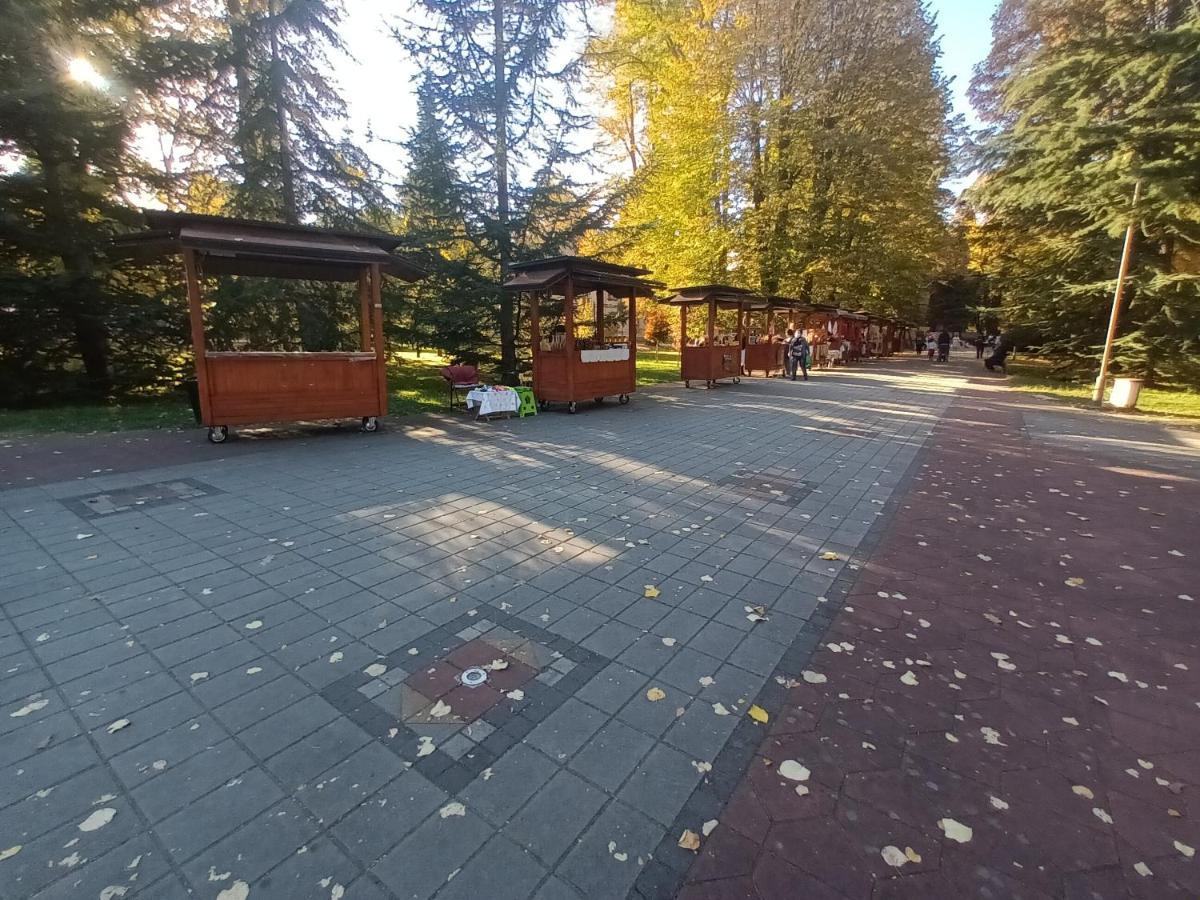 Apartman Lavanda Banja Koviljaca Luaran gambar