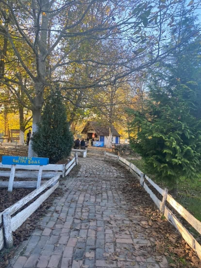 Apartman Lavanda Banja Koviljaca Luaran gambar