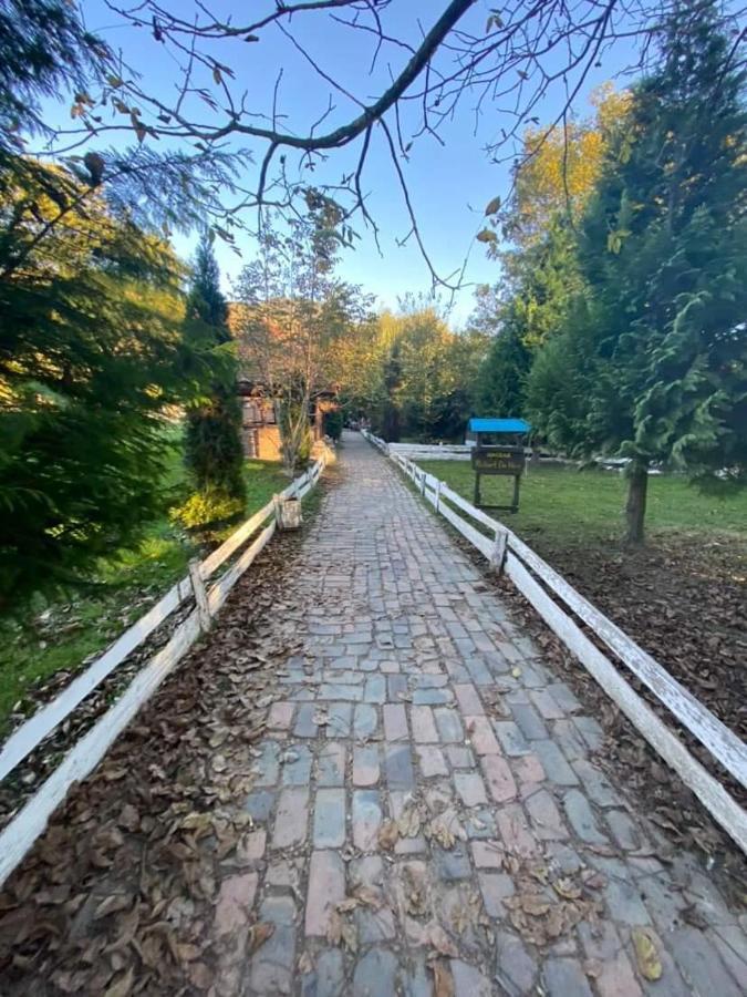 Apartman Lavanda Banja Koviljaca Luaran gambar